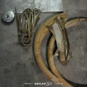 Pièces De Mobylette À Décaper