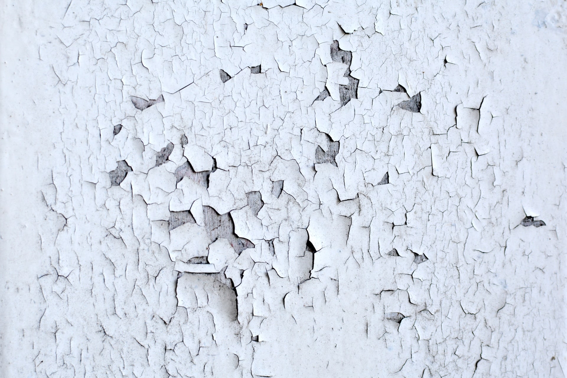 Dossier Décapage des peintures au plomb déplombage Decap'Soft — free download